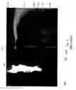 Fig. 03 - Method and sample for radiation microscopy including a particle beam channel formed in the sample source
