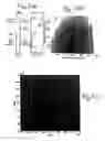 Fig. 06 - Method and apparatus for two-dimensional spectroscopy