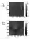 Fig. 08 - Method and apparatus for two-dimensional spectroscopy