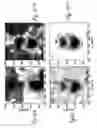 Fig. 14 - Method and apparatus for two-dimensional spectroscopy