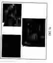 Fig. 27 - Mobile fuel analysis apparatus and method thereof
