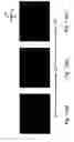 Fig. 12 - Relaxor ferroelectric solid-solution single crystal, device, and method of using device
