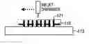 Fig. 01 - Horizontal Carbon Nanotubes by Vertical Growth and Rolling