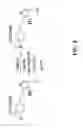 Fig. 09 - Electro-optic dendrimer-based glass composites