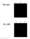 Fig. 22 - Liquid crystal display apparatus and manufacturing method therefor