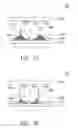 Fig. 04 - Package structure and manufacturing method thereof