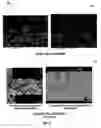 Fig. 06 - Process for extruding a porous substrate