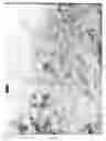 Fig. 02 - Process for colouring ceramic materials