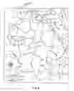 Fig. 07 - Educational puzzle game