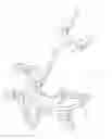 Fig. 09 - Single locking collar and sprocket hub method