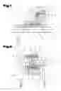 Fig. 02 - Ski Brake