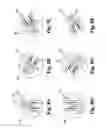 Fig. 09 - Articulated wheel assemblies and vehicles therewith