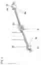 Fig. 03 - Form fitting connection between spindle and spindle holder of SLV gear