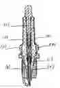 Fig. 01 - Light transmitting sparkplug