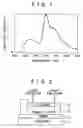 Fig. 02 - Organic electroluminescence device