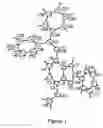 Fig. 02 - Novel benzo[b]furan derivatives and their use