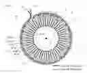 Fig. 02 - Alternating current detection coil