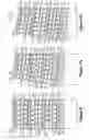 Fig. 10 - Drapable liquid crystal transfer display films