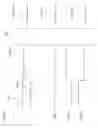 Fig. 44 - Circuit for driving self-luminous display device and method for driving the same