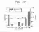 Fig. 10 - Organic electroluminescence display device