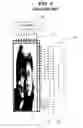 Fig. 02 - Liquid crystal display and driving method thereof