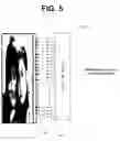 Fig. 06 - Liquid crystal display and driving method thereof