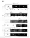 Fig. 05 - Liquid crystal display of field sequential color type and method for driving the same