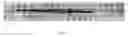 Fig. 12 - Pressure-sensitive button