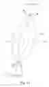 Fig. 32 - Computational geometry using control geometry having at least two dimensions