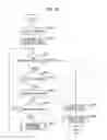 Fig. 11 - Image processing apparatus