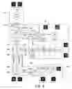 Fig. 05 - Method and system for symmetric allocation for a shared L2 mapping cache
