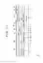Fig. 11 - Liquid ejection head, liquid ejector and process for manufacturing liquid ejection head