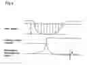 Fig. 04 - Clock generation apparatus