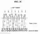 Fig. 07 - Liquid crystal display device capable of automatically switching to a mode and method for driving the same