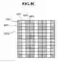 Fig. 10 - Liquid crystal display device and method of driving the same