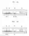 Fig. 04 - Liquid crystal display device
