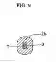 Fig. 10 - Eyewear end piece
