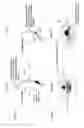 Fig. 04 - Hydrodynamically operated multifocal contact lens