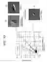 Fig. 11 - Apparatus and method for inspecting defects