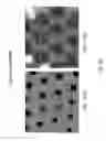 Fig. 27 - Arrays of nano structures for surface-enhanced Raman scattering