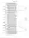 Fig. 08 - Raster scanning-type display device using diffractive light modulator