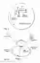 Fig. 04 - Material independent profiler