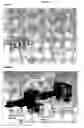 Fig. 12 - Diagnostic imaging device for the analysis of circulating rare cells