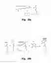 Fig. 05 - Sub-micron surface plasmon resonance sensor systems