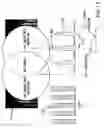 Fig. 12 - Methods for measuring a wavefront of an optical system