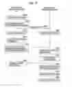 Fig. 12 - INFORMATION PROCESSING DEVICE, INFORMATION PROCESSING METHOD, ENCRYPTING/DECRYPTING DEVICE, ENCRYPTING/DECRYPTING METHOD AND COMPUTER PROGRAM