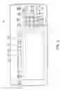 Fig. 03 - IMAGE FORMING APPARATUS AND IMAGE FORMING METHOD