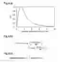 Fig. 04 - Fast generation of dither matrix