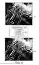 Fig. 03 - Automatic removal of purple fringing from images
