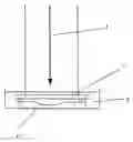 Fig. 01 - Holographic sensor